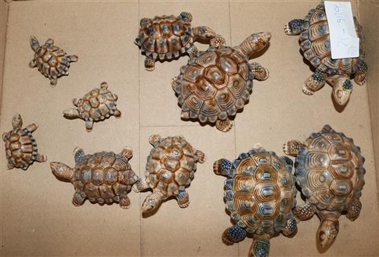 10 Wade tortoises(-)